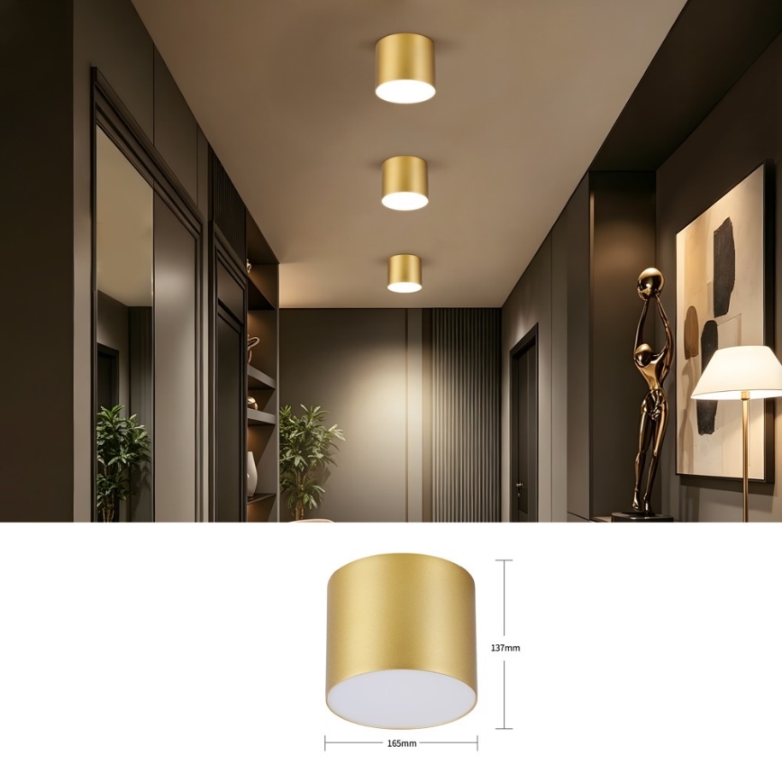 Immax NEO 07318L - Ρυθμιζόμενο LED φωτιστικό οροφής RONDATE LED/32W/230V διάμ. 16,5 cm Wi-Fi Tuya χρυσό