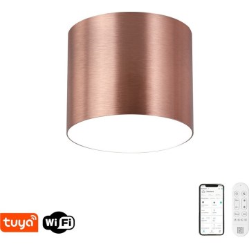 Immax NEO 07319L - Ρυθμιζόμενο LED φωτιστικό οροφής RONDATE LED/18W/230V διάμ. 11,5 cm Wi-Fi Tuya ροζ χρυσό