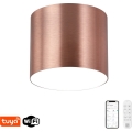 Immax NEO 07320L - Ρυθμιζόμενο φωτιστικό οροφής LED RONDATE LED/32W/230V, διάμ. 16,5 cm, Wi‑Fi Tuya ροζ χρυσό