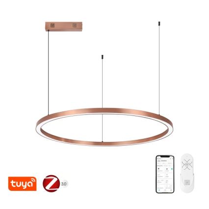 Immax NEO 07327L - Ρυθμιζόμενος LED κρεμαστός πολυέλαιος σε σύρμα FINO LED/55W/230V 80 cm Tuya ροζ χρυσό + τηλεχειριστήριο