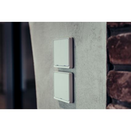 Immax NEO 07513L - Διπλός διακόπτης SMART 230V Wi-Fi Tuya