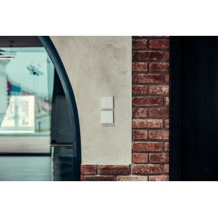 Immax NEO 07513L - Διπλός διακόπτης SMART 230V Wi-Fi Tuya