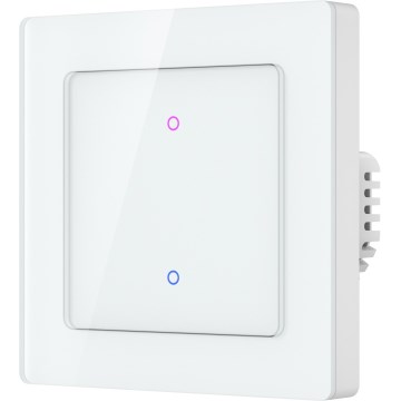 Immax NEO 07550L - Διακόπτης 2 πλήκτρων SMART 230V