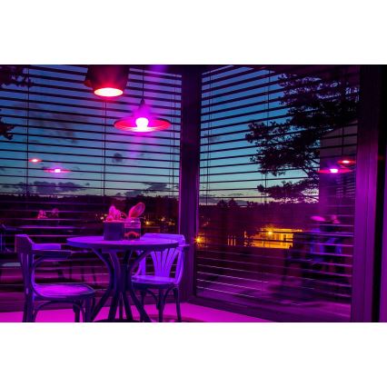 Immax NEO 07712CDO - ΣΕΤ 3x LED RGB+CCT Ρυθμιζόμενη λάμπα E27/9W/230V Wi-Fi Tuya + τηλεχειριστήριο