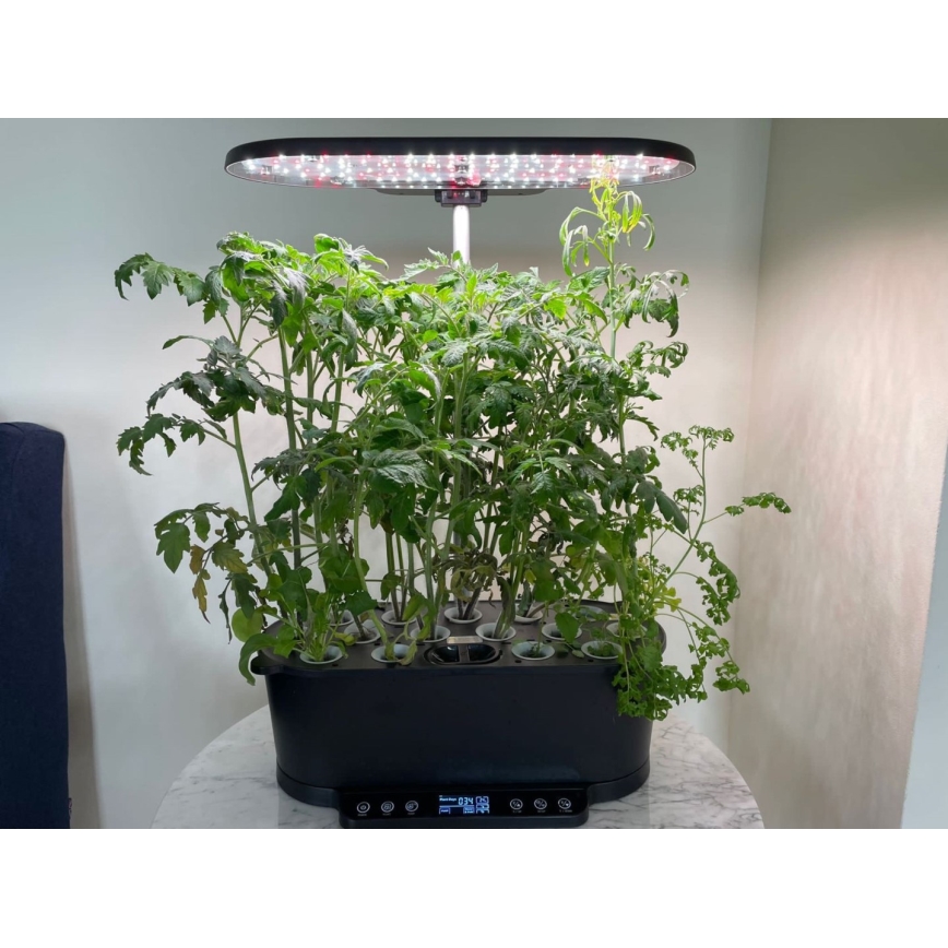 Immax NEO 07770L - Ρυθμιζόμενος LED φωτισμός εσωτερικού χώρου για φυτά NEO LITE LED/36W/24/230V Wi-Fi Tuya