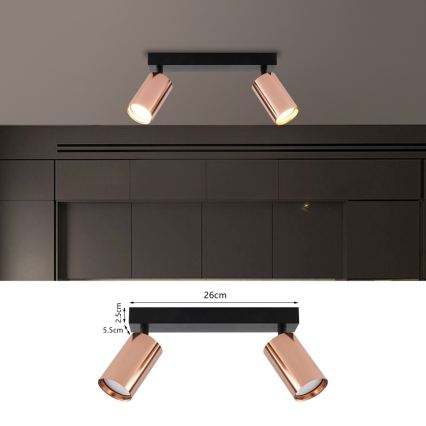 Immax NEO 08302L - Σποτ φωτιστικό PUNTO 2xGU10/9W/230V ροζ χρυσό