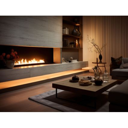 InFire - Χωνευτό Τζάκι BIO 7,5x120 cm 7kW μαύρο