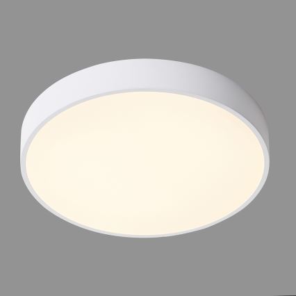 ITALUX - Φωτιστικό οροφής LED ORBITAL LED/30W/230V 3000K λευκό