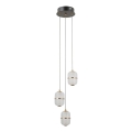 ITALUX - Κρεμαστό φωτιστικό με καλώδιο ALANI 3xLED/5W/230V 3000K μαύρο/χρυσό