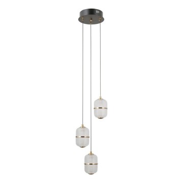 ITALUX - Κρεμαστό φωτιστικό με καλώδιο ALANI 3xLED/5W/230V 3000K μαύρο/χρυσό
