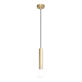 ITALUX - Κρεμαστό φωτιστικό με καλώδιο FILANO 1xG9/5W/230V, χρυσό