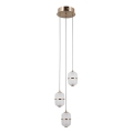ITALUX - Κρεμαστό LED φωτιστικό ALANI σε καλώδιο 3xLED/5W/230V 3000K χρυσό