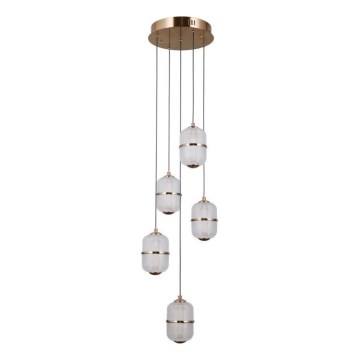 ITALUX - LED κρεμαστό φωτιστικό με καλώδιο ALANI 5xLED/5,6W/230V 3000K χρυσό