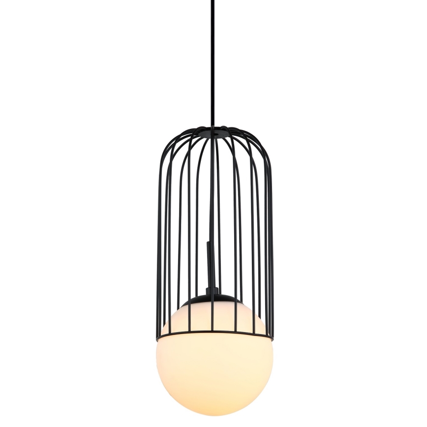 ITALUX - Πολύφωτο με συρματόσχοινο MATTY 1xE27/40W/230V 100 cm μαύρο