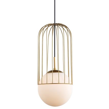 ITALUX - Πολύφωτο με συρματόσχοινο MATTY 1xE27/40W/230V 95,5 cm χρυσαφί