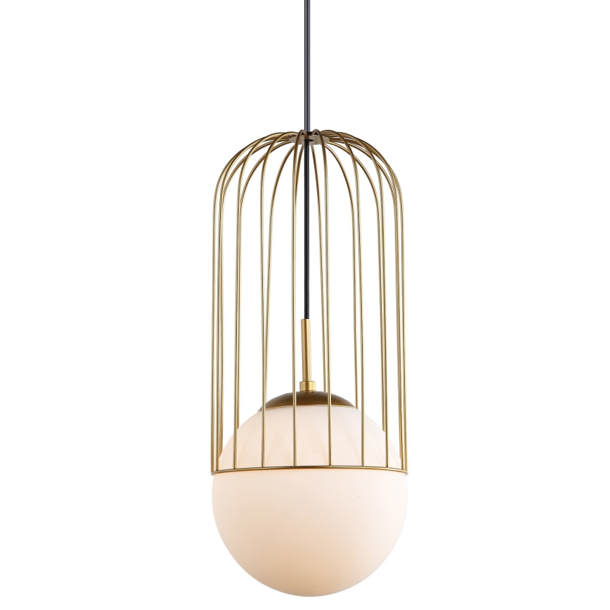 ITALUX - Πολύφωτο με συρματόσχοινο MATTY 1xE27/40W/230V 95,5 cm χρυσαφί