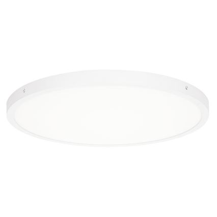 ITALUX - Φωτιστικό οροφής LED PELARO LED/36W/230V 3000K λευκό