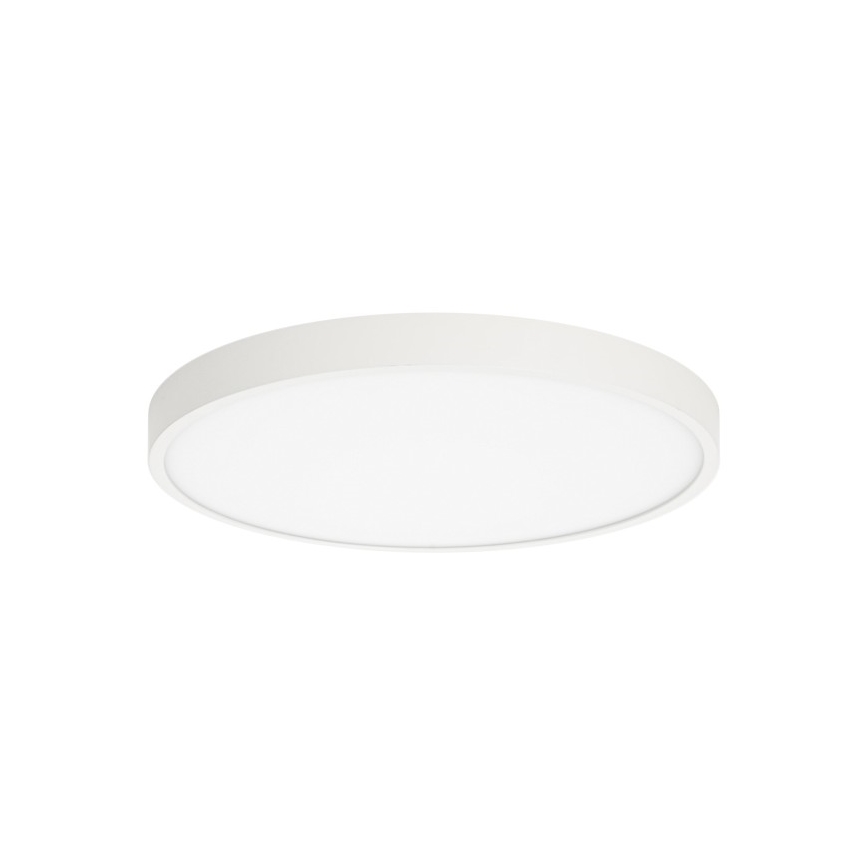ITALUX - Φωτιστικό οροφής LED RIBERIO LED/30W/230V 3000K λευκό
