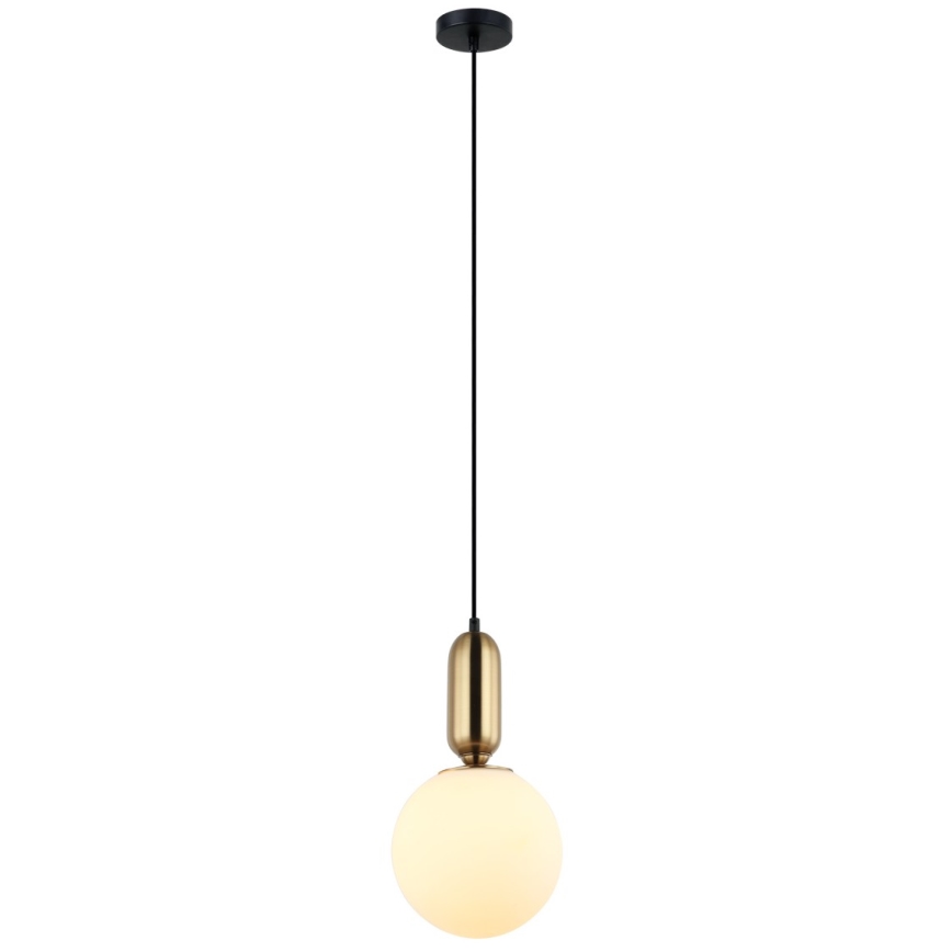 ITALUX - Πολύφωτο με συρματόσχοινο ALDEVA 1xE27/40W/230V διάμετρος 20 cm μαύρο/μπρονζέ