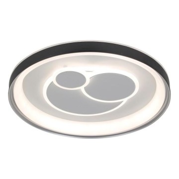 ITALUX - Ρυθμιζόμενο φωτιστικό οροφής LED FLORINA LED/46W/230V 3000/4000/6500K Ø 49 cm μαύρο + τηλεχειριστήριο