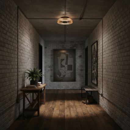 ITALUX - Φωτιστικό οροφής LED PASSO LED/8W/230V 3000K διάμ. 25 εκ. καπνιστό μπεζ