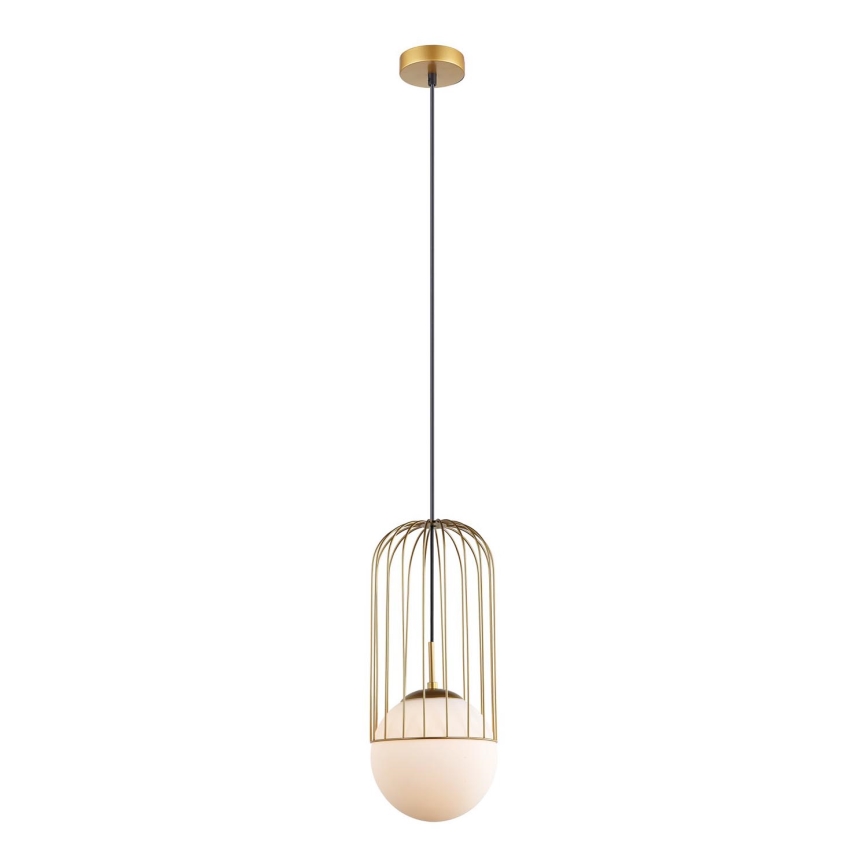 ITALUX - Πολύφωτο με συρματόσχοινο MATTY 1xE27/40W/230V 95,5 cm χρυσαφί