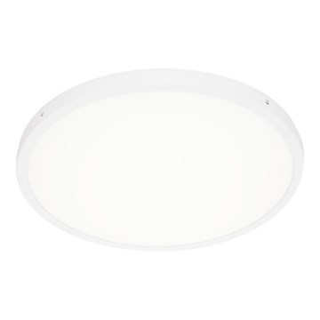 ITALUX - Φωτιστικό οροφής LED PELARO LED/36W/230V 4000K λευκό