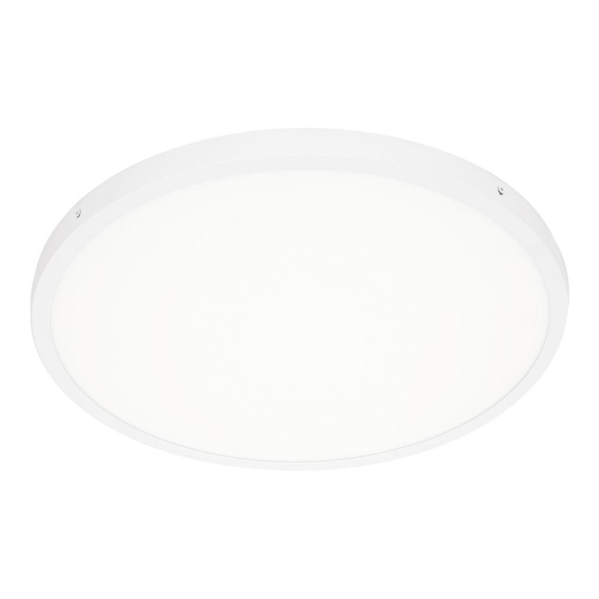 ITALUX - Φωτιστικό οροφής LED PELARO LED/36W/230V 4000K λευκό