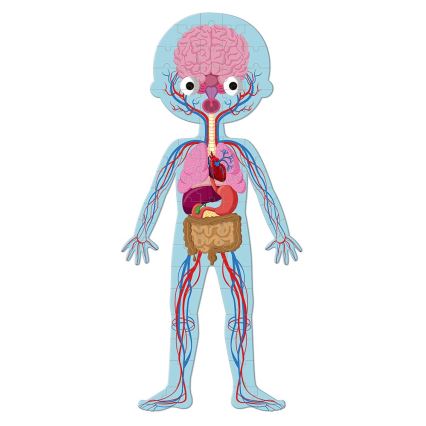 Janod - Παιδικό εκπαιδευτικό παζλ 225 τεμ. ανθρώπινο σώμα