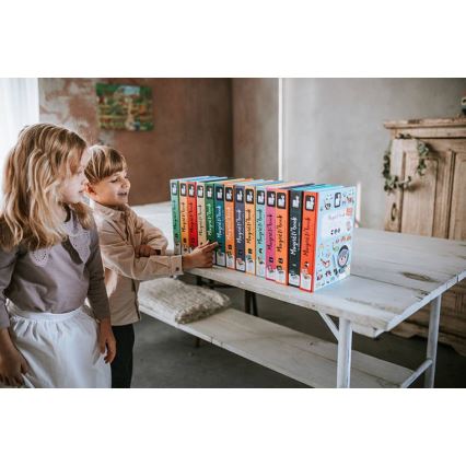 Janod - Μαγνητικό διαδραστικό σετ MAGNETIBOOK μέσα μεταφοράς