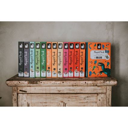 Janod - Μαγνητικό διαδραστικό σετ MAGNETIBOOK μέσα μεταφοράς