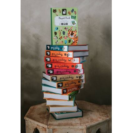 Janod - Μαγνητικό διαδραστικό σετ MAGNETIBOOK μέσα μεταφοράς