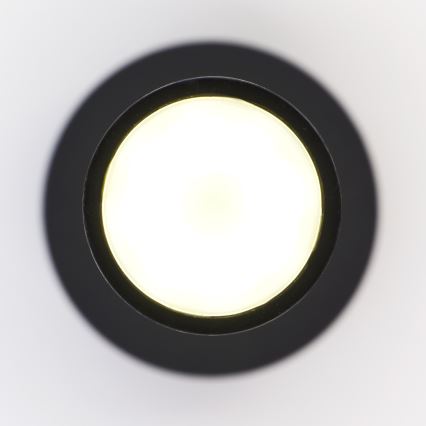 Jupiter 2003 - Κρεμαστό φωτιστικό οροφής ALAS 1xGU10/10W/230V μαύρο/χρυσαφί