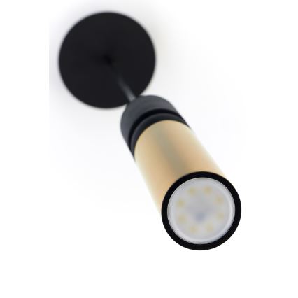 Jupiter 2006 - Κρεμαστό φωτιστικό οροφής ALAS 1xGU10/10W/230V χρυσαφί/μαύρο