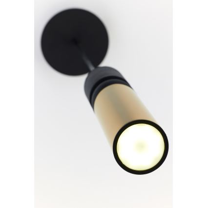 Jupiter 2006 - Κρεμαστό φωτιστικό οροφής ALAS 1xGU10/10W/230V χρυσαφί/μαύρο