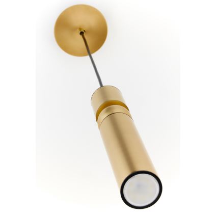 Jupiter 2009 - Κρεμαστό φωτιστικό οροφής ALAS 1xGU10/10W/230V χρυσαφί