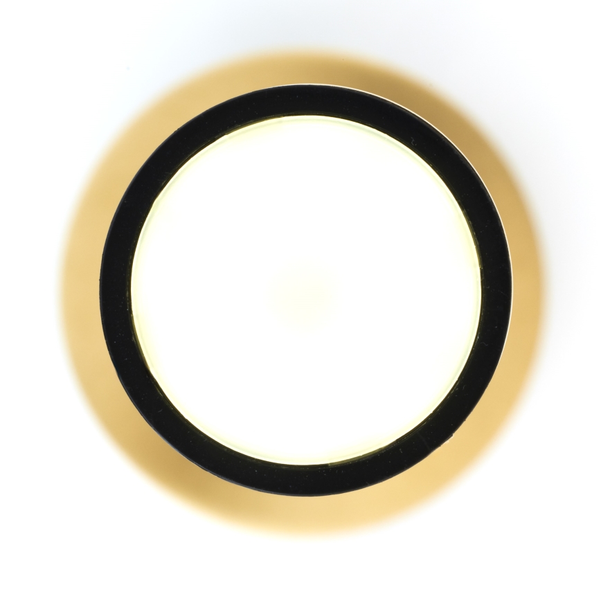Jupiter 2009 - Κρεμαστό φωτιστικό οροφής ALAS 1xGU10/10W/230V χρυσαφί