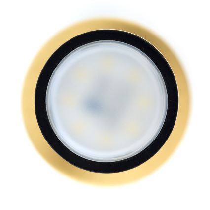 Jupiter 2009 - Κρεμαστό φωτιστικό οροφής ALAS 1xGU10/10W/230V χρυσαφί