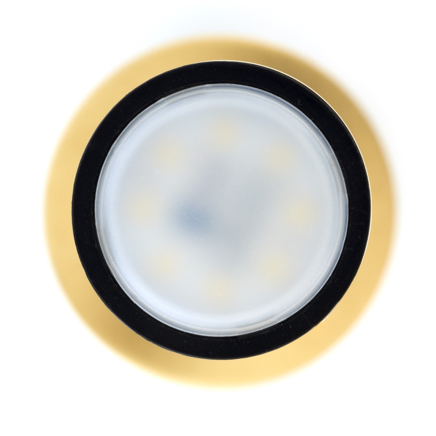 Jupiter 2009 - Κρεμαστό φωτιστικό οροφής ALAS 1xGU10/10W/230V χρυσαφί