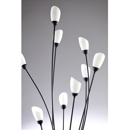 Jupiter 2058 - Επιδαπέδιο φωτιστικό GLORIOSA 9xG9/14W/230V μαύρο