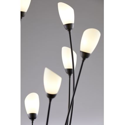 Jupiter 2058 - Επιδαπέδιο φωτιστικό GLORIOSA 9xG9/14W/230V μαύρο