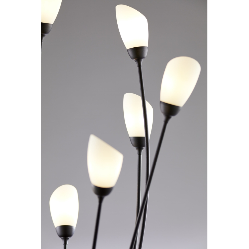 Jupiter 2058 - Επιδαπέδιο φωτιστικό GLORIOSA 9xG9/14W/230V μαύρο