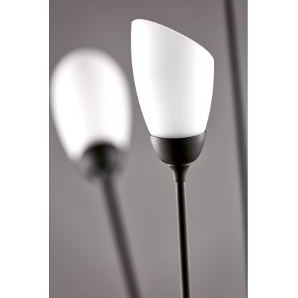 Jupiter 2058 - Επιδαπέδιο φωτιστικό GLORIOSA 9xG9/14W/230V μαύρο