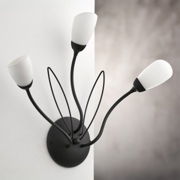 Jupiter 2059 - Επιτοίχιο φωτιστικό GLORIOSA 3xG9/14W/230V μαύρο