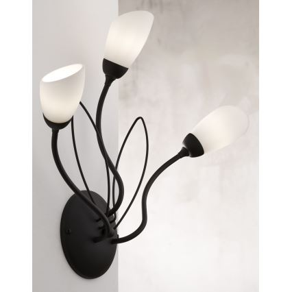 Jupiter 2059 - Επιτοίχιο φωτιστικό GLORIOSA 3xG9/14W/230V μαύρο