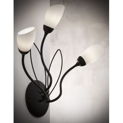 Jupiter 2059 - Επιτοίχιο φωτιστικό GLORIOSA 3xG9/14W/230V μαύρο