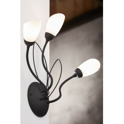 Jupiter 2059 - Επιτοίχιο φωτιστικό GLORIOSA 3xG9/14W/230V μαύρο