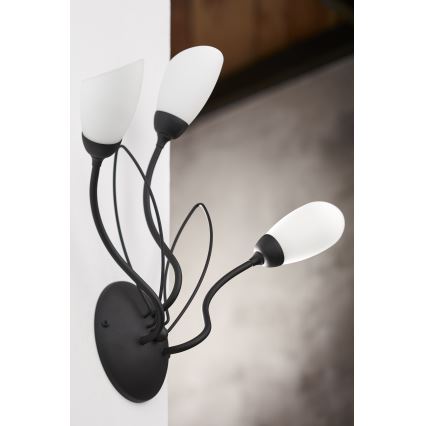 Jupiter 2059 - Επιτοίχιο φωτιστικό GLORIOSA 3xG9/14W/230V μαύρο