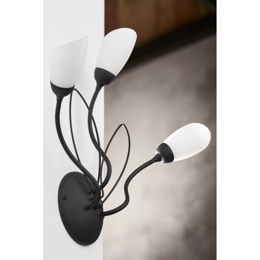 Jupiter 2059 - Επιτοίχιο φωτιστικό GLORIOSA 3xG9/14W/230V μαύρο