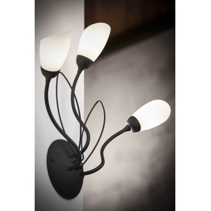 Jupiter 2059 - Επιτοίχιο φωτιστικό GLORIOSA 3xG9/14W/230V μαύρο
